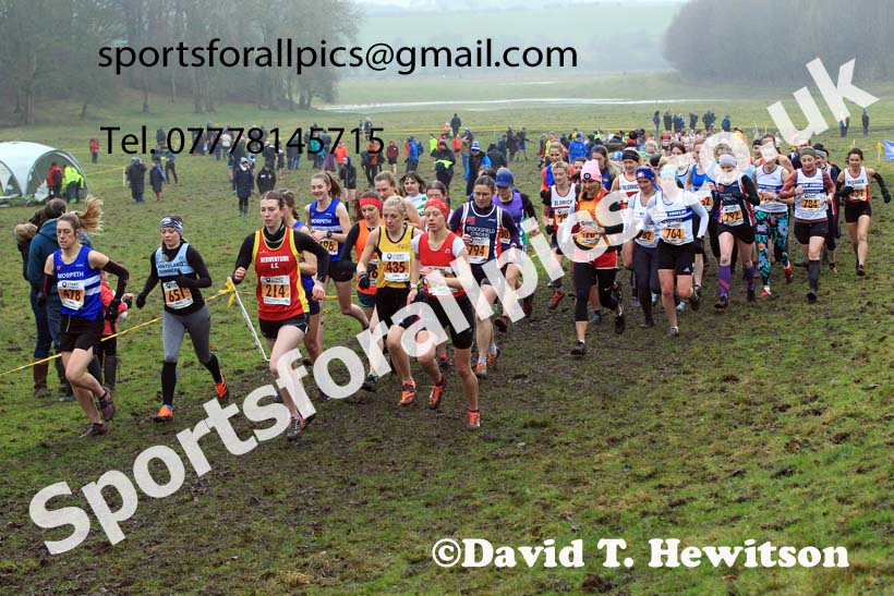 Senior womens 2022 North Eastern Harrier League, Thornley Farm, Peterlee, County Durham. Photo: David T. Hewitson/Sports for All Pics